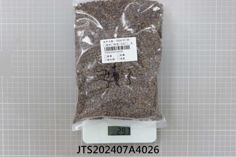 JTS202407A4026