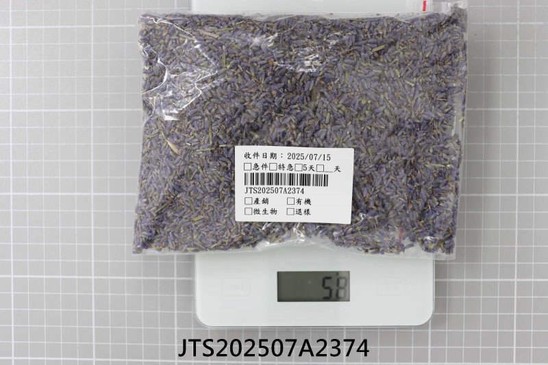 JTS202507A2374