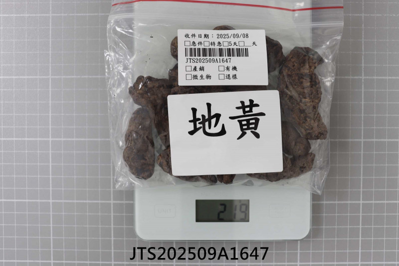 JTS202509A1647