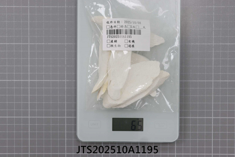 JTS202510A1195