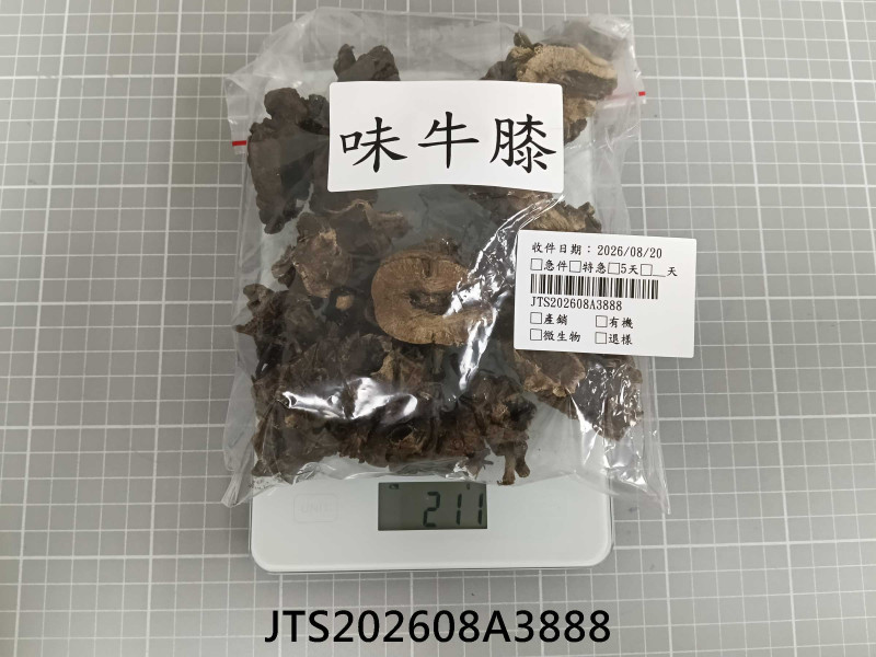 JTS202608A3888