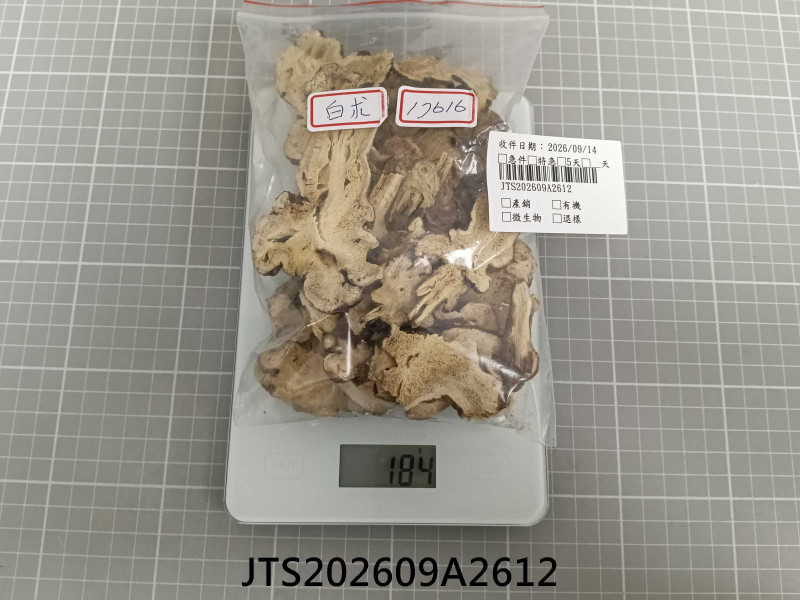 JTS202609A2612
