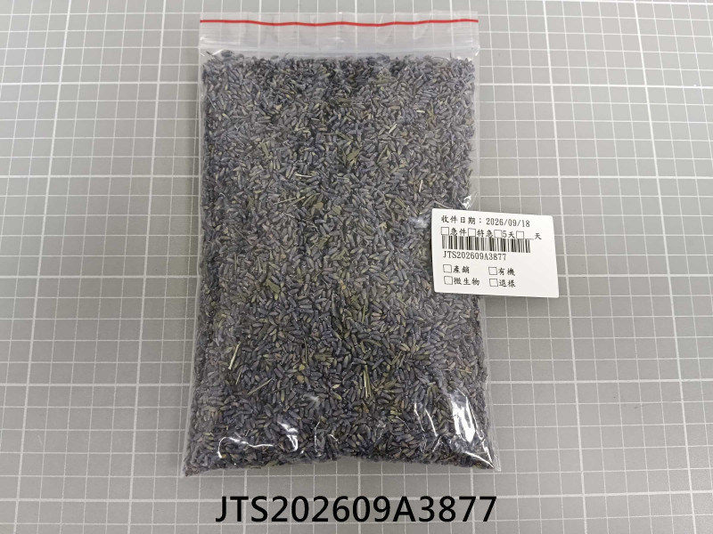 JTS202609A3877